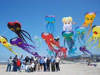 lincoln city kite flying